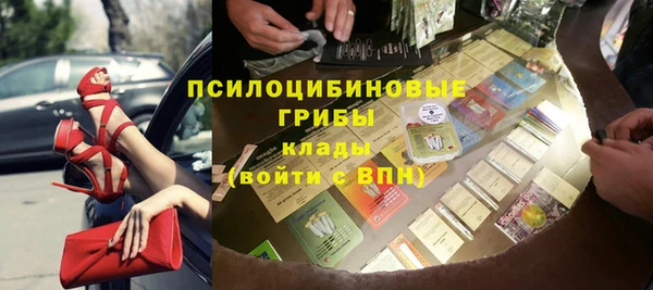 стафф Гусиноозёрск