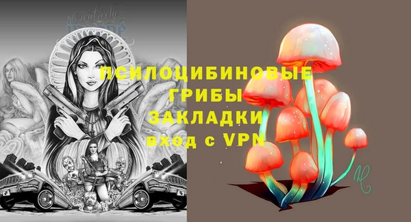 герыч Гусь-Хрустальный