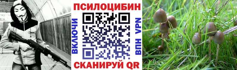 Купить закладки Туран Галлюциногенные грибы GOLDEN TEACHER